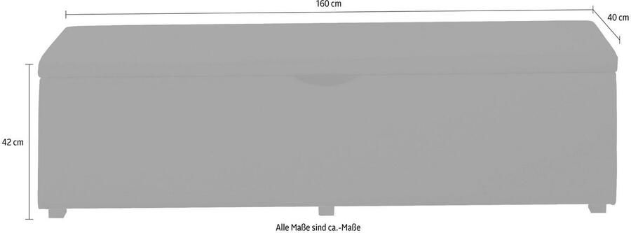 Places of Style Hockerbank Standaard Breedte 120 cm of 160 cm ook als garderobebank of bedbank - Foto 3