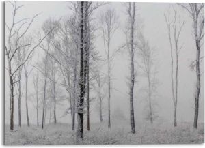Platinum Aluminium-dibondprint Winter Wald