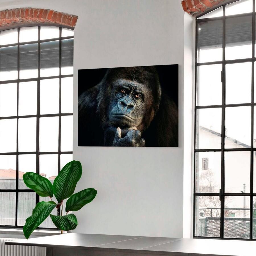 Platinum Aluminium dibond print Gorilla Joachim G. Pinkawa (1 stuk) - Foto 2