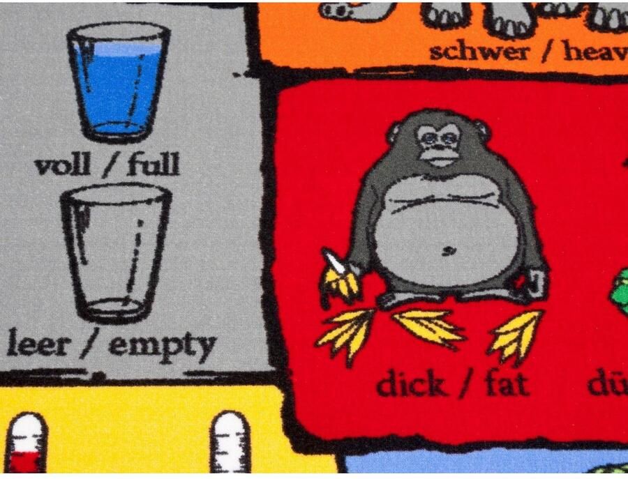 Primaflor-Ideen in Textil Kindervloerkleed TEGENSTELLINGEN gemaakt in België Educatief speelkleed tegenstellingen leren kinderkamer - Foto 3