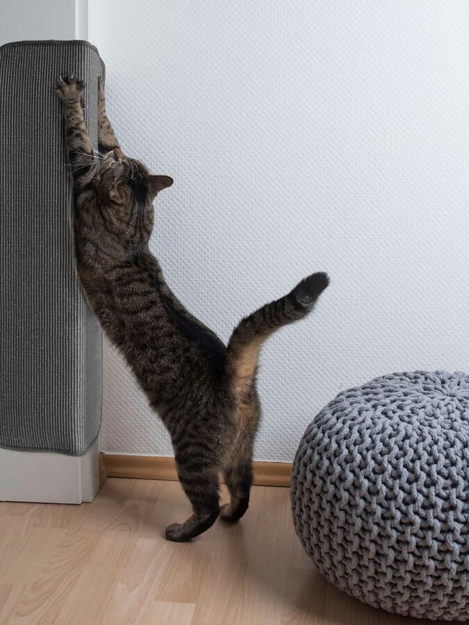 Primaflor-Ideen in Textil Krabplank Kattenkrabmat SISALLUX gemaakt in Nederland Krabtapijt sisal in verschillende afmetingen veelzijdig te gebruiken - Foto 7