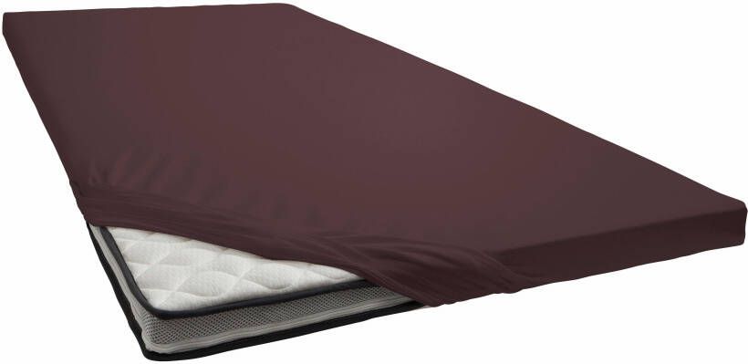 Primera Hoeslaken Elastan-getwijnd jersey topmatras (1 stuk)