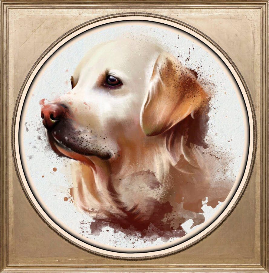 Queence Artprint op acrylglas Hond Fine Art-print in galeriekwaliteit