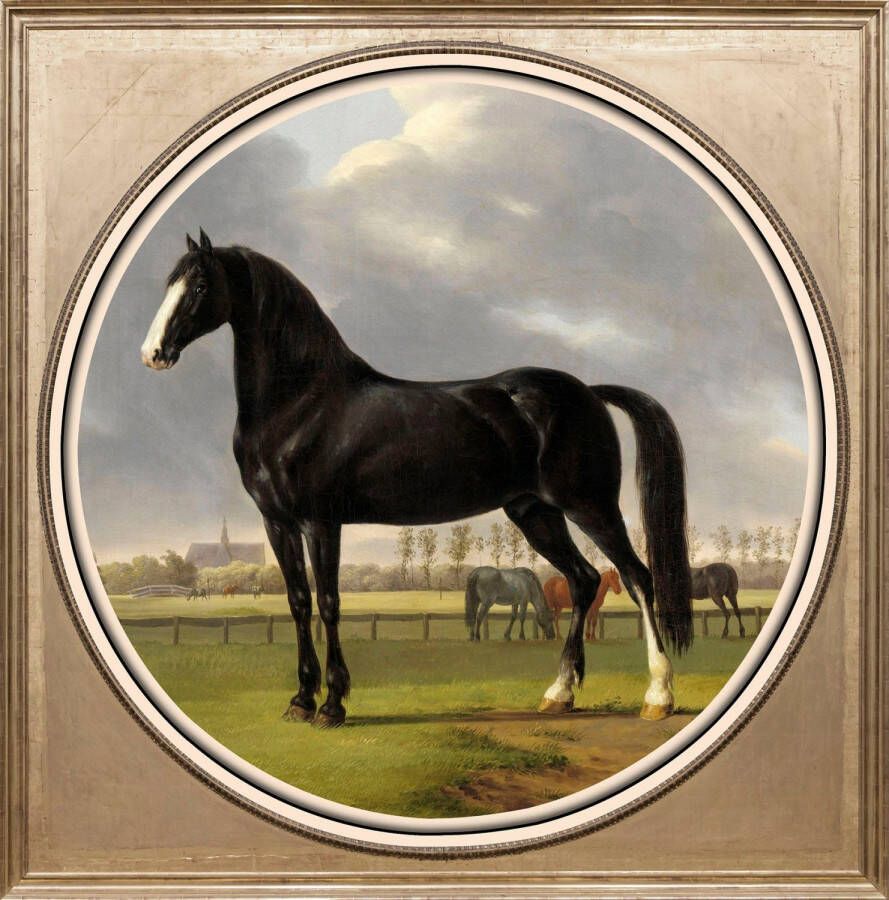 Queence Artprint op acrylglas Paard