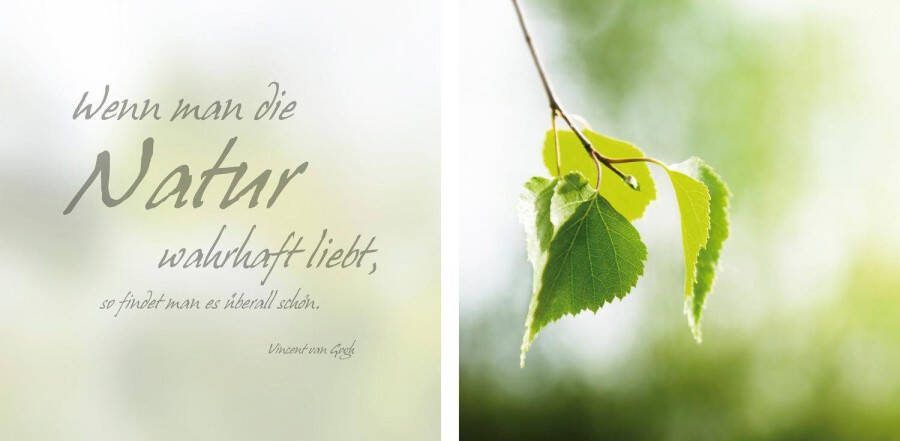 Queence Artprint op linnen Naturel Premium canvasstof handgemaakt in Duitsland citaat 2-delige set (set)