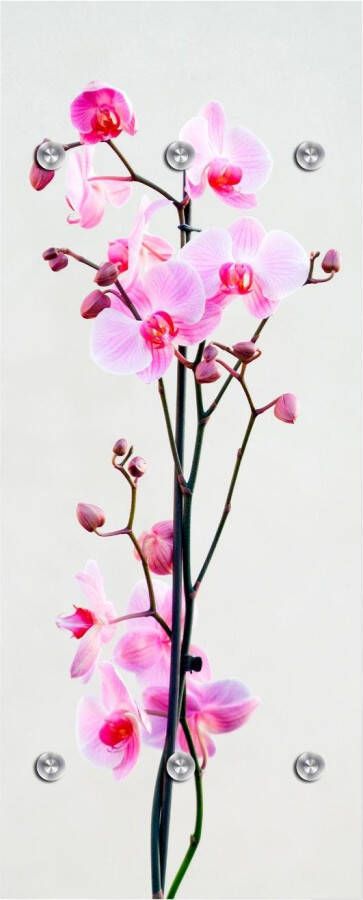 Queence Kapstok Orchidee met 6 haken 50 x 120 cm - Foto 5