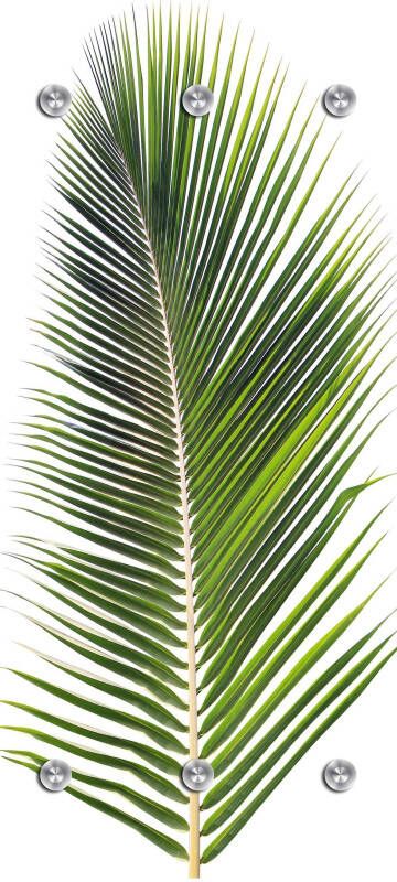 Queence Kapstok Palm met 6 haken 50 x 120 cm - Foto 5