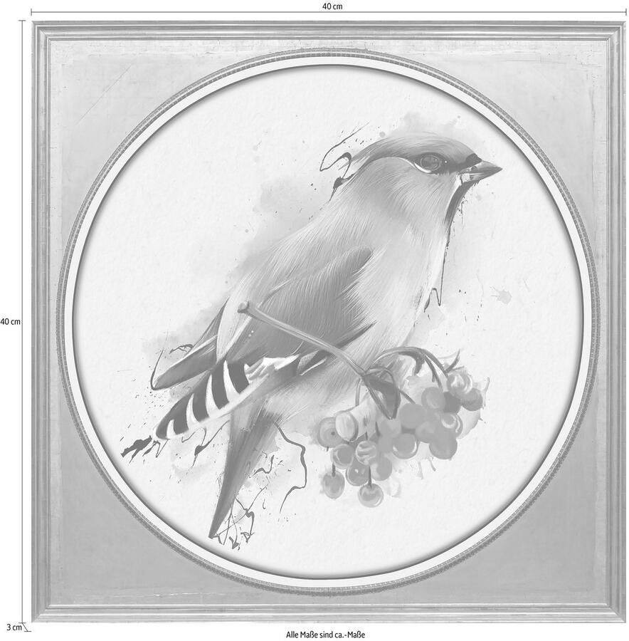 Queence Artprint op acrylglas Veelkleurige vogel II Fine Art-print in galeriekwaliteit