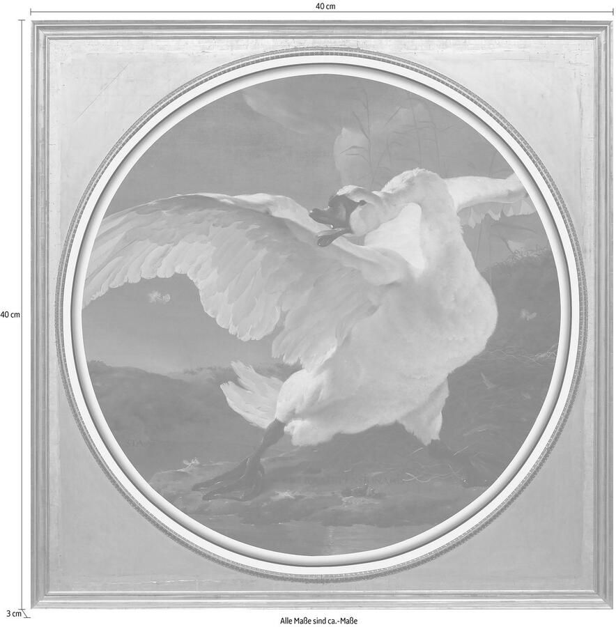 Queence Artprint op acrylglas Witte zwaan Fine Art-print in galeriekwaliteit