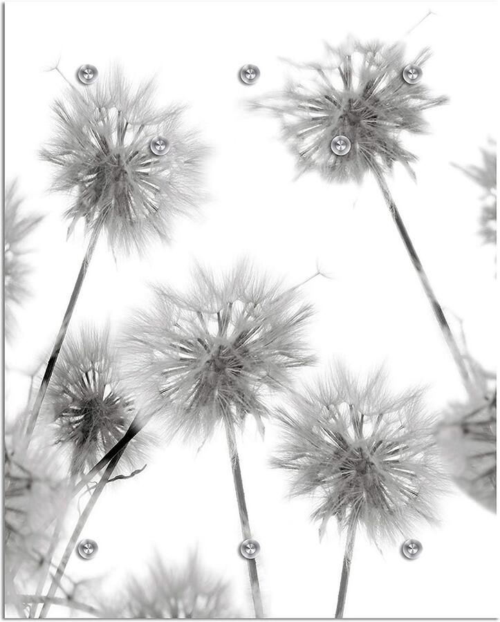 Queence Kapstok Alamea Paardenbloem zwart wit kapstok - Foto 6