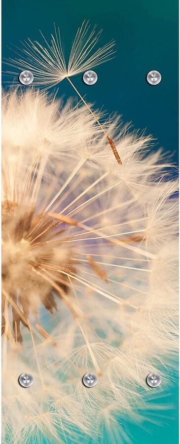 Queence Kapstok Anneli Wandkapstok bloem paardenbloem ruimtebesparend - Foto 12