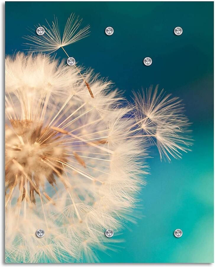 Queence Kapstok Anneli Wandkapstok bloem paardenbloem ruimtebesparend - Foto 6