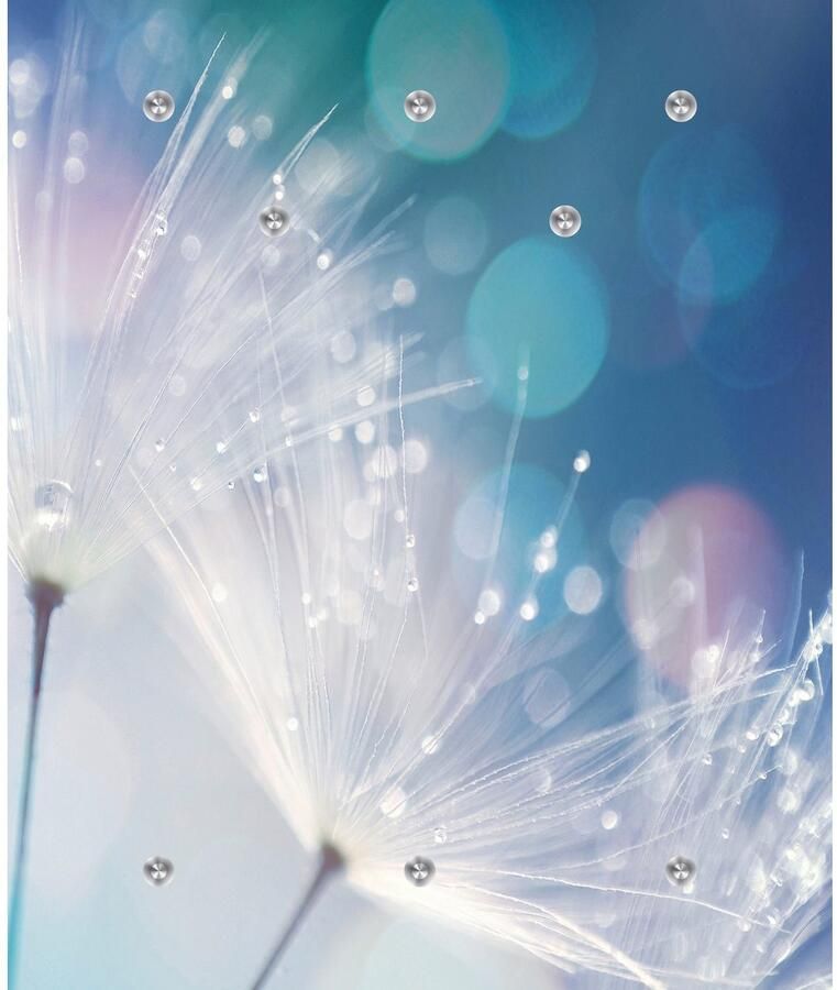 Queence Kapstok Dandelion Wandkapstok plant paardenbloem ruimtebesparend - Foto 6