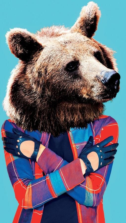 Queence Sierkussen Beer met zijdeachtige glans kussenovertrek zonder vulling(1 stuk) - Foto 4