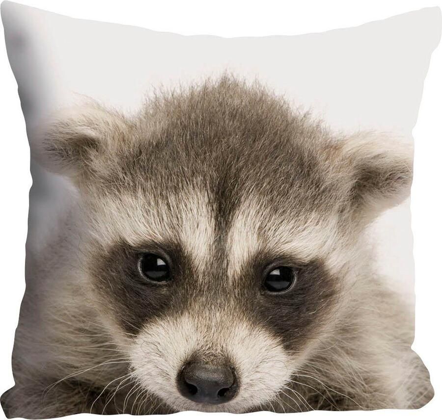 Queence Sierkussen DEAN Kussenhoes wasbeer grappig dieren schattig vriendelijk natuur bos kleurrijk (1 stuk) - Foto 3