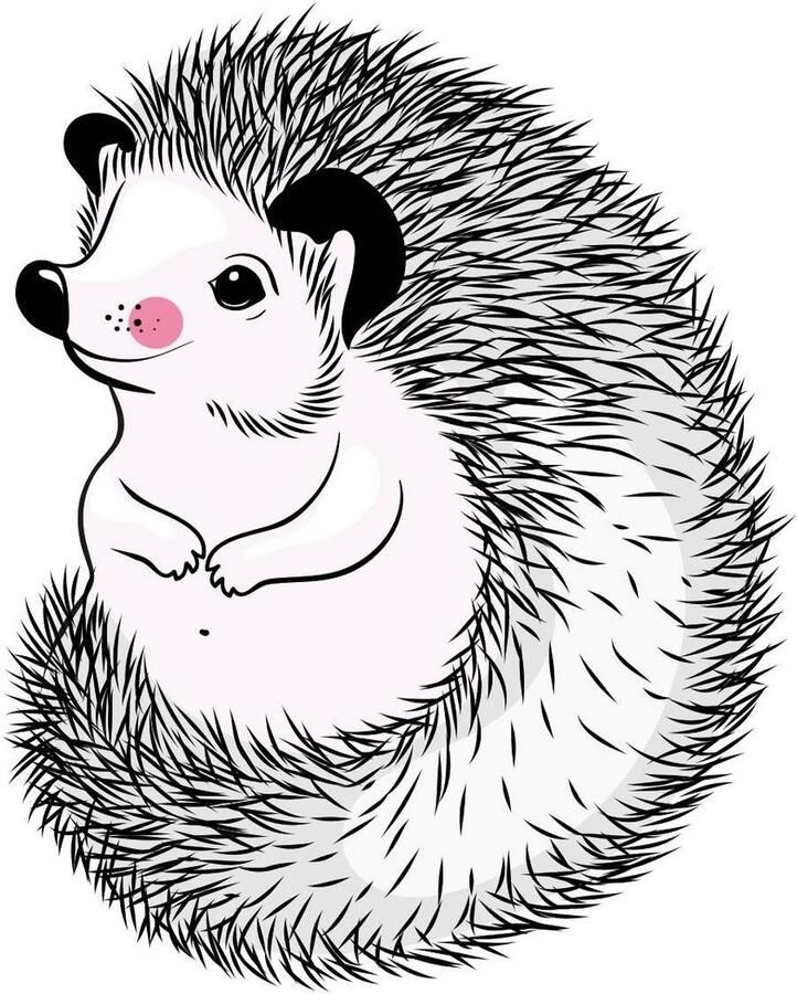 Queence Sierkussen Egel Kussenovertrek zonder vulling(1 stuk) - Foto 3