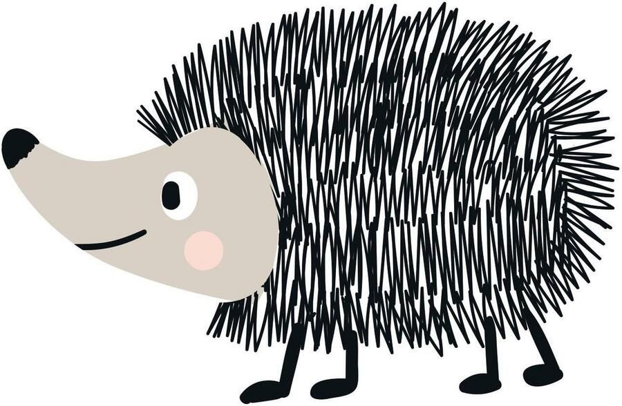 Queence Sierkussen Egel Kussenovertrek zonder vulling(1 stuk) - Foto 5