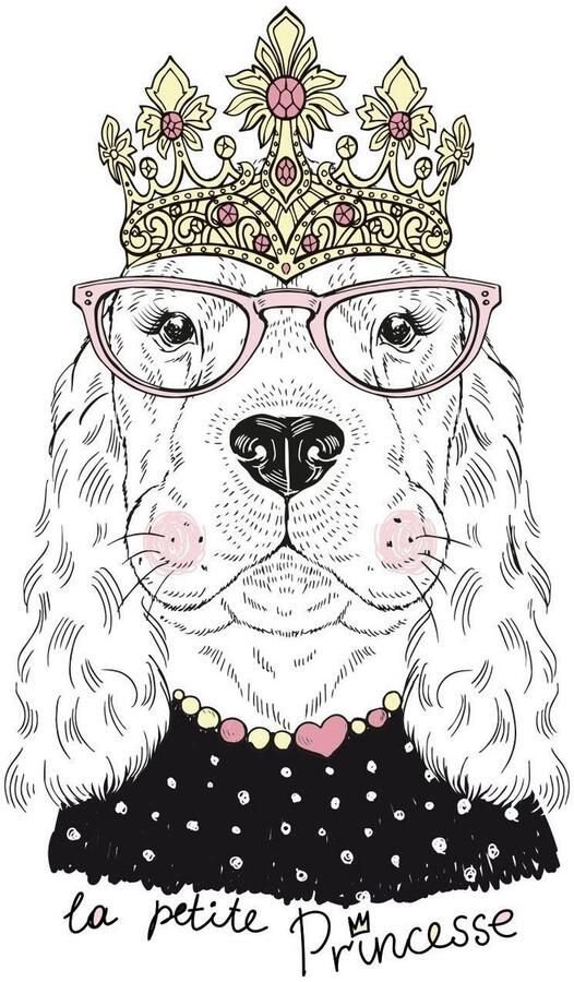 Queence Sierkussen Hond Kussenovertrek zonder vulling(1 stuk) - Foto 3