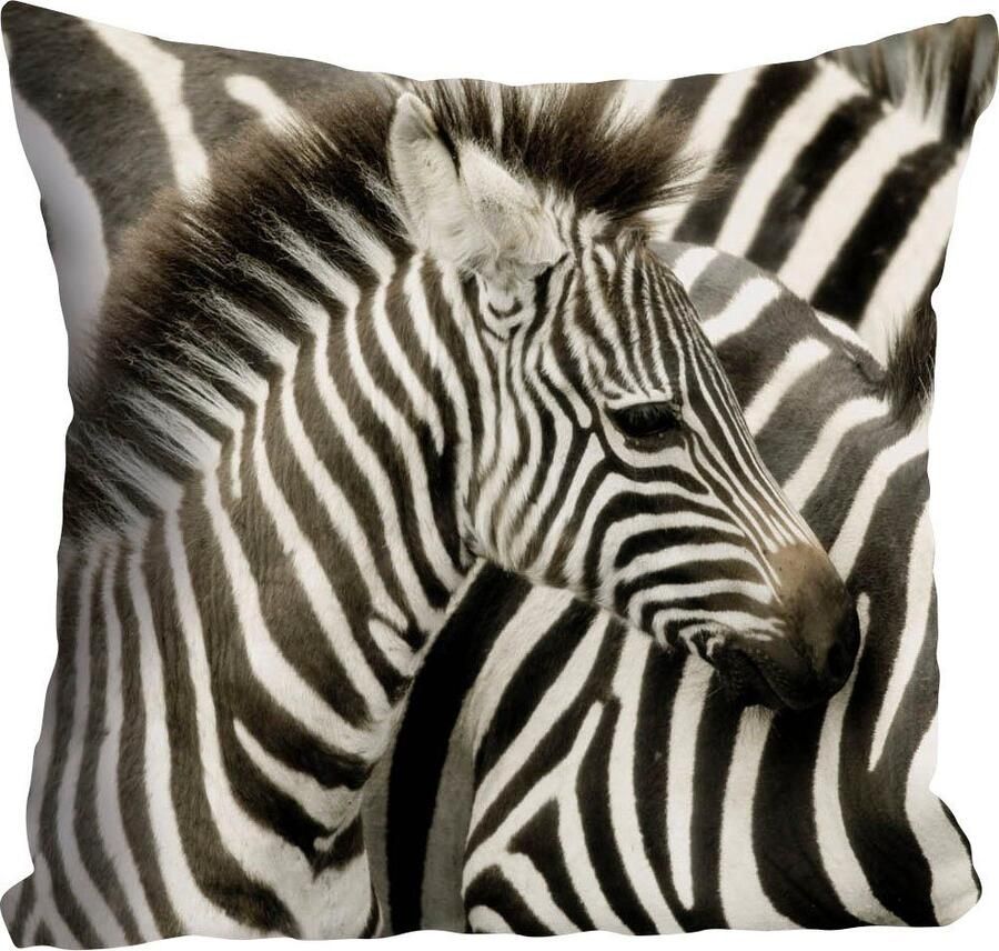 Queence Sierkussen Richard Kussenhoes zebra's zwart-wit dieren streepjespatroon Afrikaans wild (1 stuk) - Foto 3