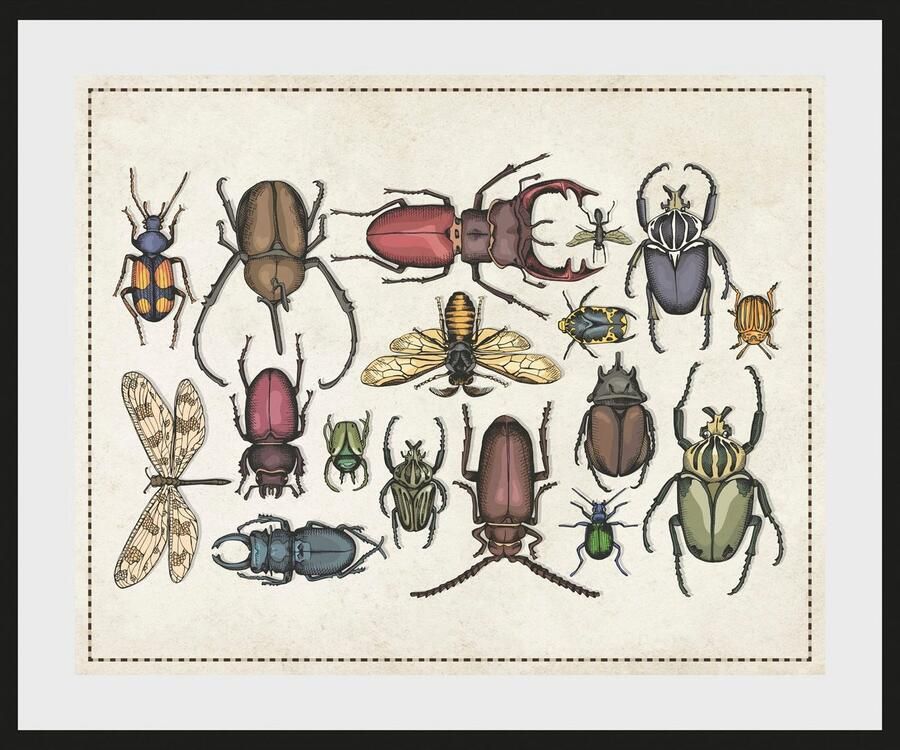 Queence Wanddecoratie A Bug's Life 2 HD premium posterdruk incl. houten lijst (1 stuk) - Foto 2