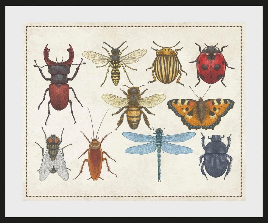 Queence Wanddecoratie A Bug's Life HD premium posterdruk incl. houten lijst (1 stuk) - Foto 2