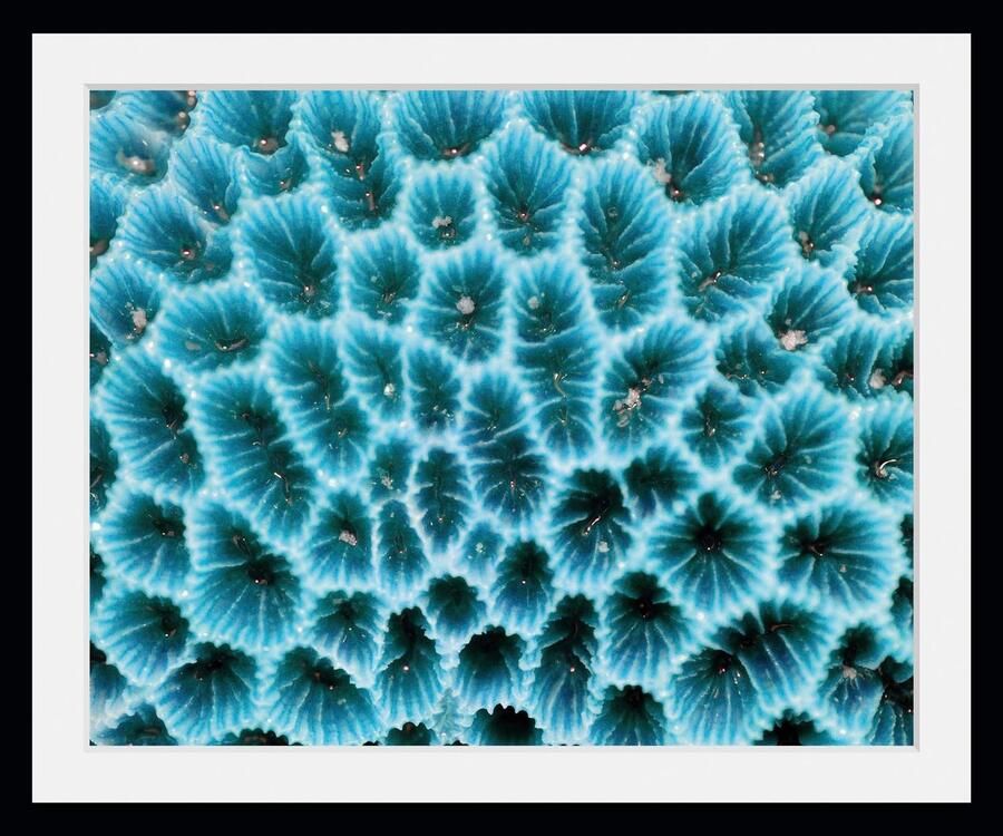 Queence Wanddecoratie AGATA HD premium posterdruk incl. houten lijst (1 stuk) - Foto 2
