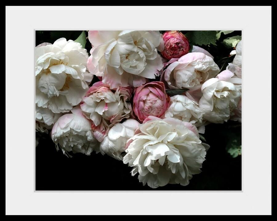 Queence Wanddecoratie ALEXA HD premium posterdruk incl. houten lijst (1 stuk) - Foto 2