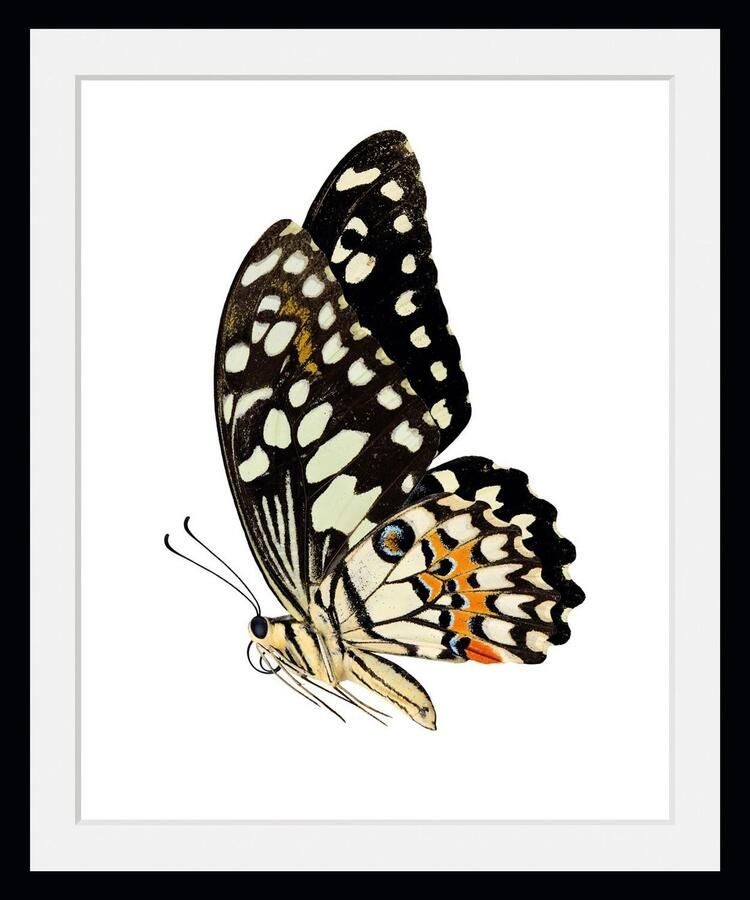 Queence Wanddecoratie ANDY HD premium posterdruk incl. houten lijst (1 stuk) - Foto 3