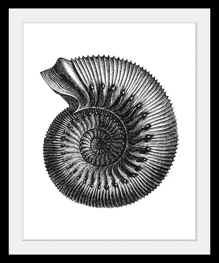 Queence Wanddecoratie Bernd HD premium posterdruk incl. houten lijst (1 stuk) - Foto 2