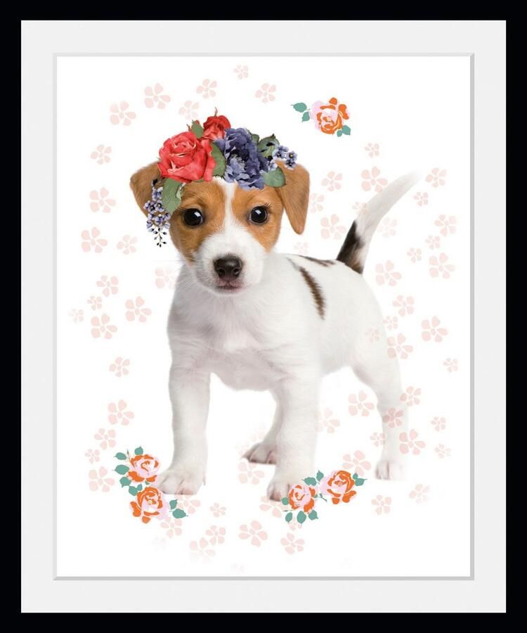 Queence Wanddecoratie Bloemenhond HD premium posterdruk incl. houten lijst (1 stuk) - Foto 2