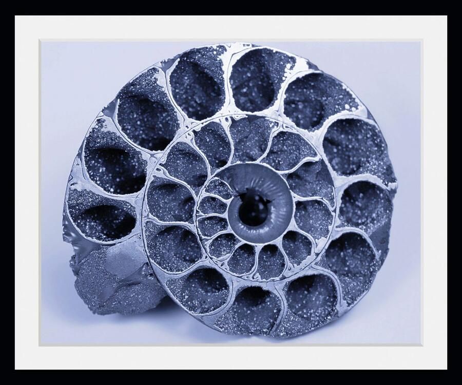 Queence Wanddecoratie Christoph HD premium posterdruk incl. houten lijst (1 stuk) - Foto 2