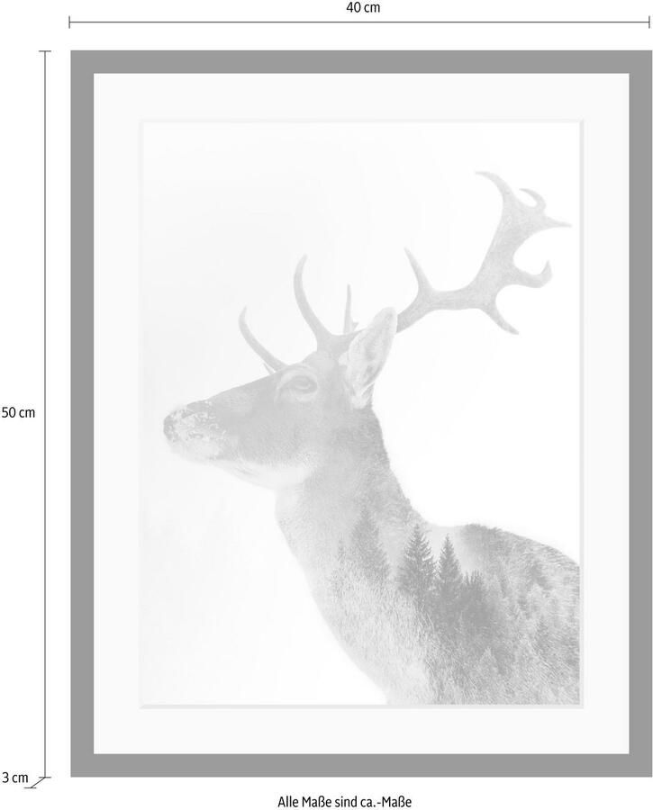 Queence Wanddecoratie Edelhert HD premium posterdruk incl. houten lijst - Foto 3