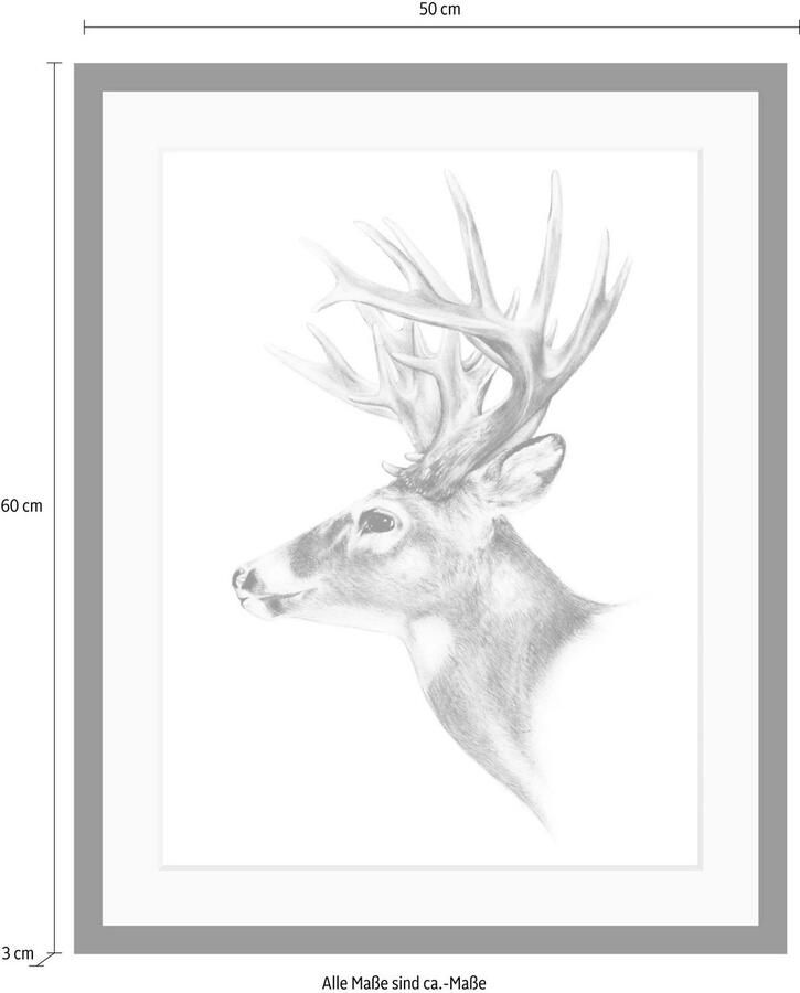 Queence Wanddecoratie Edelhert HD premium posterdruk incl. houten lijst - Foto 3