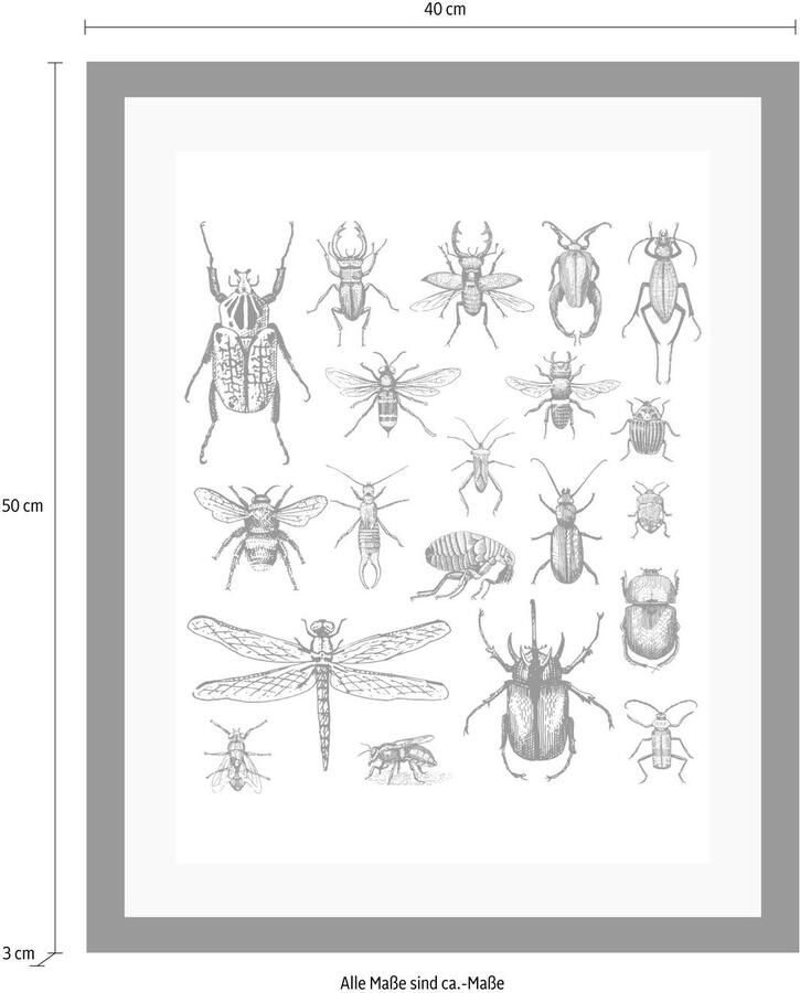 Queence Wanddecoratie Kever HD premium posterdruk incl. houten lijst - Foto 3