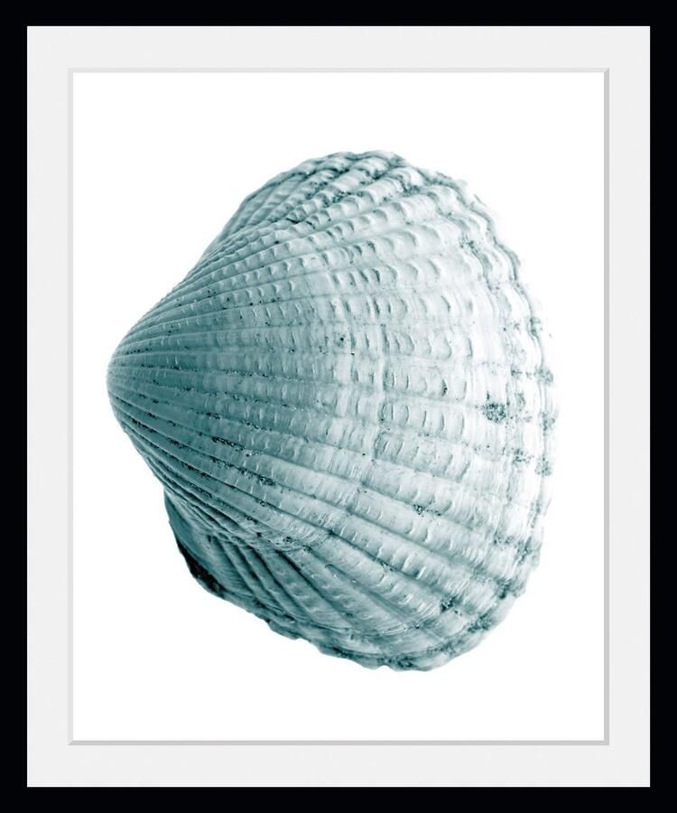 Queence Wanddecoratie Leon HD premium posterdruk incl. houten lijst (1 stuk) - Foto 2