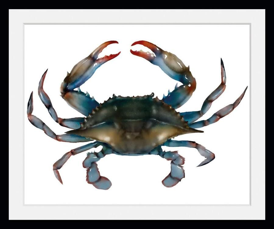 Queence Wanddecoratie Mr. Krabs HD premium posterdruk incl. houten lijst (1 stuk) - Foto 2