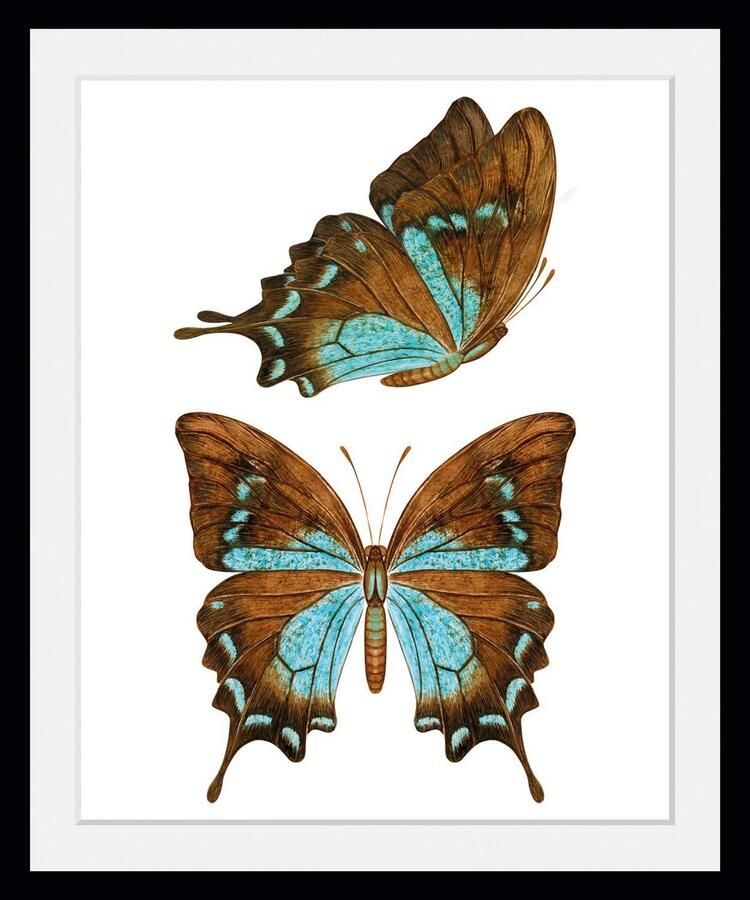 Queence Wanddecoratie NALA HD premium posterdruk incl. houten lijst (1 stuk) - Foto 3