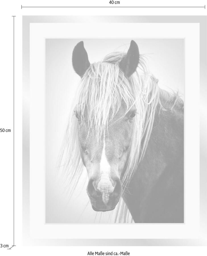 Queence Wanddecoratie Paardenkop HD premium posterdruk incl. houten lijst in zwart - Foto 2