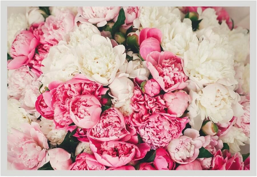 Queence Wanddecoratie Ruth HD premium posterdruk incl. houten lijst (1 stuk) - Foto 6