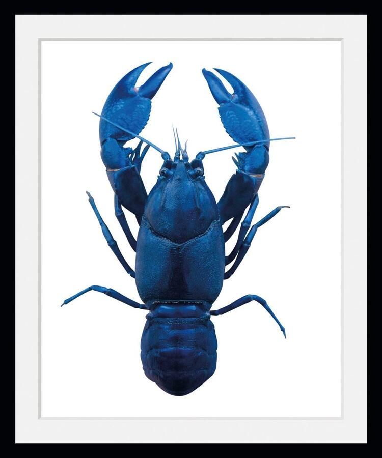 Queence Wanddecoratie Uschi HD premium posterdruk incl. houten lijst (1 stuk) - Foto 2