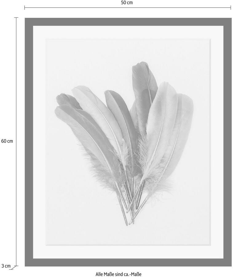 Queence Wanddecoratie Veren HD premium posterdruk incl. houten lijst - Foto 2