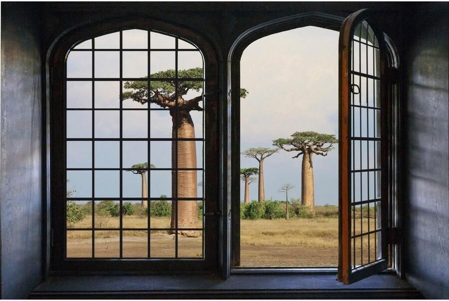 Queence Wandfolie Bomen Muursticker muurdecoratie zelfklevend 3D raam - Foto 3
