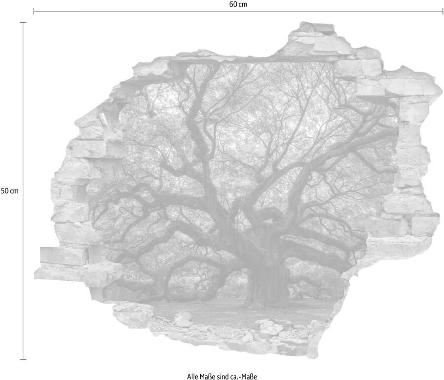Queence Wandfolie Boom Muursticker muurdecoratie zelfklevend 3D muurdurchbraak (1 stuk) - Foto 2