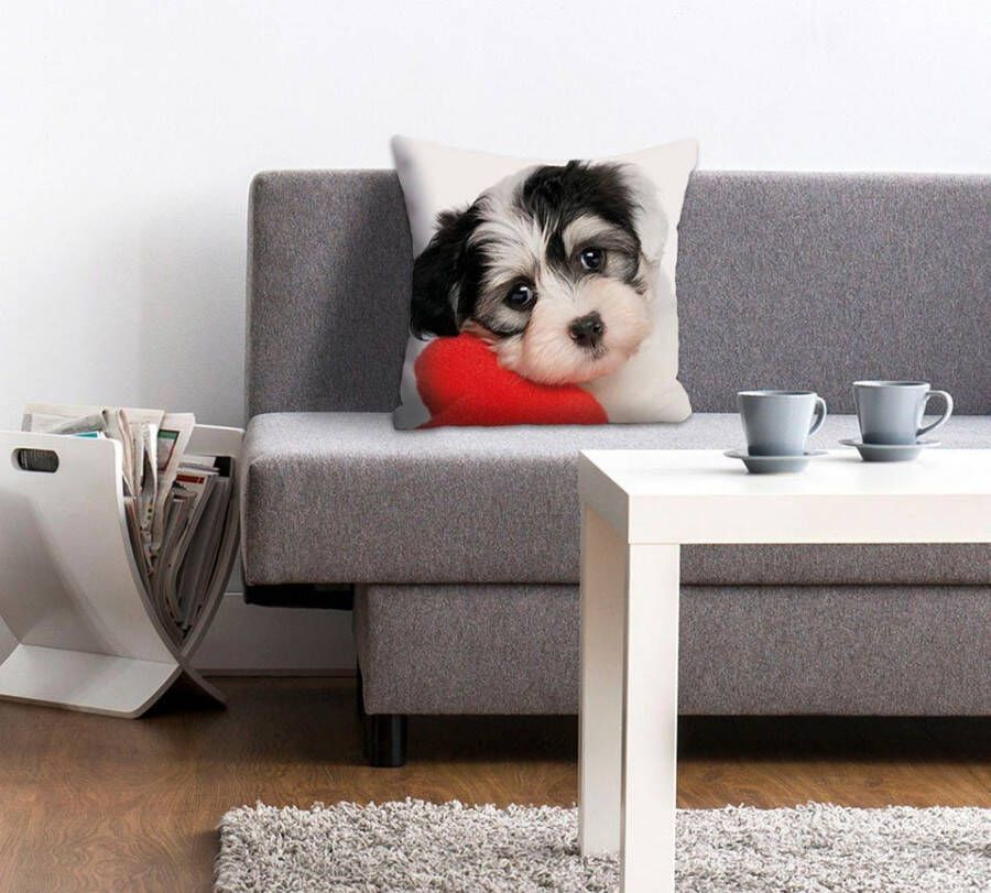 Queence Sierkussen Vanessa Kussenhoes schattige kleine hond schattig dierenmotief charmant vriendelijk (1 stuk) - Foto 3