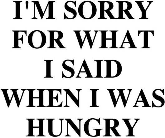 Queence Sierobject voor aan de wand I´m sorry for what I said ... Stalen bord blikken bord spreuk grappig wanddecoratie retro 20x30cm - Foto 3