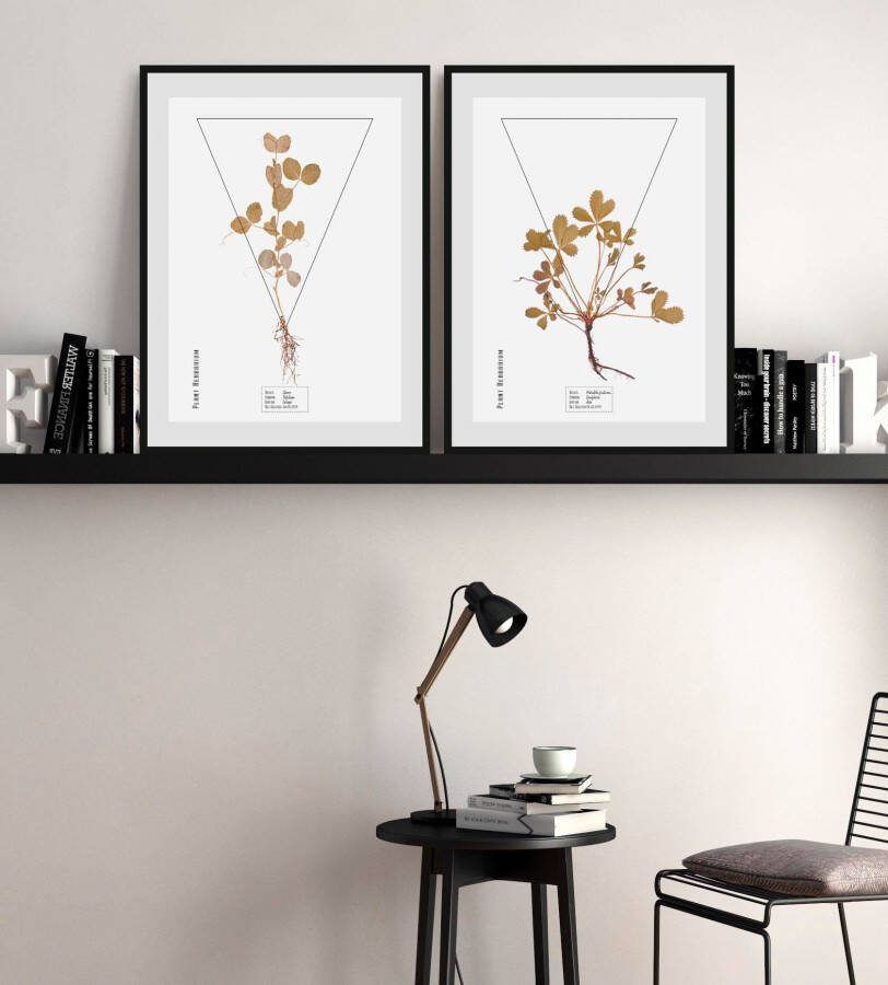 Queence Wanddecoratie Potentilla fruticosa HD premium posterdruk incl. houten lijst (1 stuk)