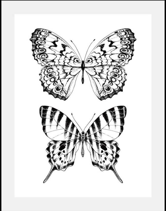 Queence Wanddecoratie Vlinders in 3 maten ingelijst - Foto 6