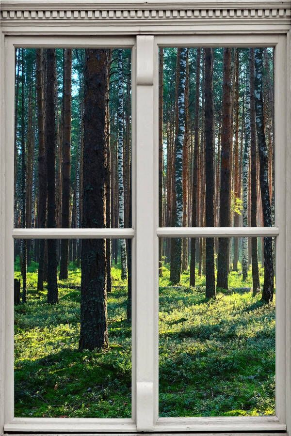Queence Wandfolie Bos Muursticker muurdecoratie zelfklevend 3D raam - Foto 3