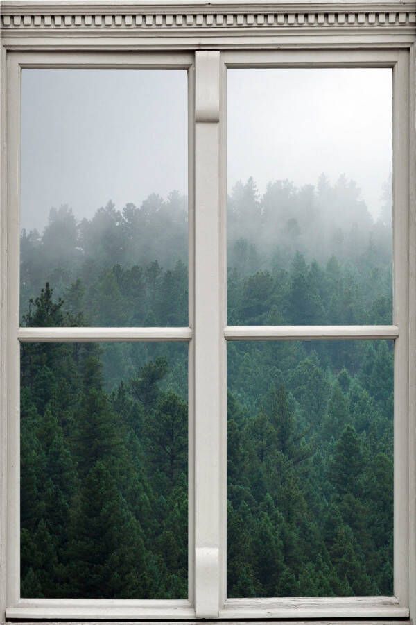 Queence Wandfolie Nevelig bos Muursticker muurdecoratie zelfklevend 3D raam - Foto 3