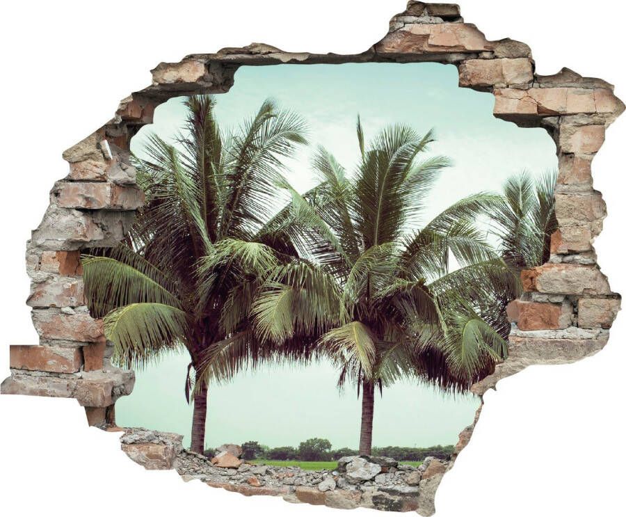 Queence Wandfolie Palmen Muursticker muurdecoratie zelfklevend 3D muurdurchbraak (1 stuk) - Foto 3